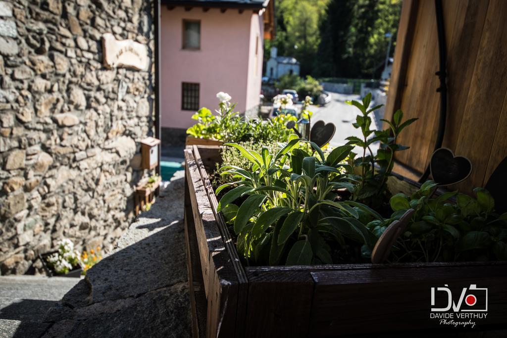 Il Girasole Frühstückspension Aosta